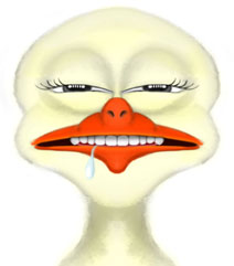 D05  Drooling Duck