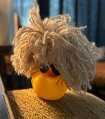 D07  Jeep Hair Don't Care Blonde Duck