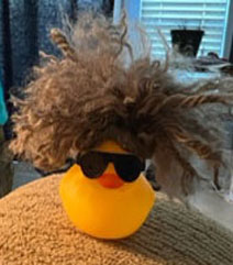 D08  Need Hair Don't Care Brown Duck