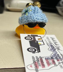 D11  Wishing I Was Skiing Duck